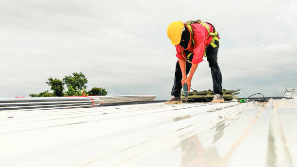 Best Storm Damage Roof Repair  in Pingree Grove, IL