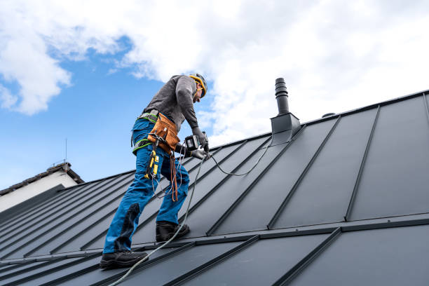 Steel Roofing in Pingree Grove, IL